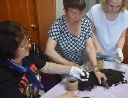 Гарденотерапия