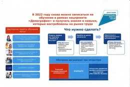 В рамках федерального проекта «Содействие занятости» национального проекта «Демография».